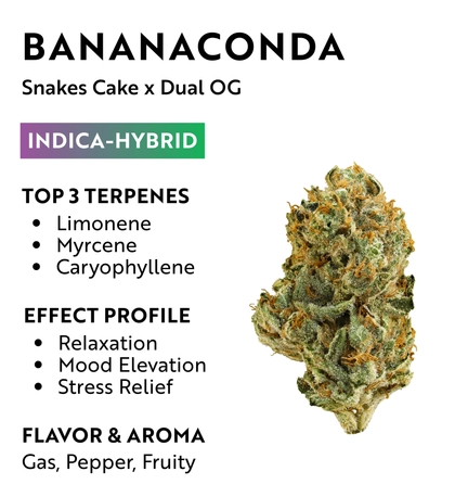  Bananaconda - 3.5g