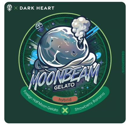  Flower - Moonbeam Gelato (14g)