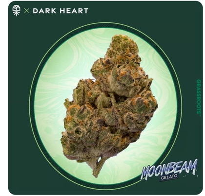 Flower - Moonbeam Gelato (14g)