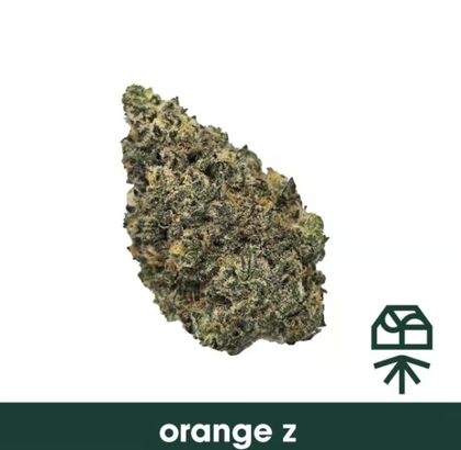  Popcorn Flower - Orange Z (7g)