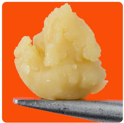  Live Rosin - T.I.T.S (1g)