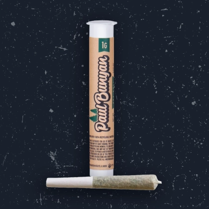  Pre Roll - Bonfire Bliss (1g)
