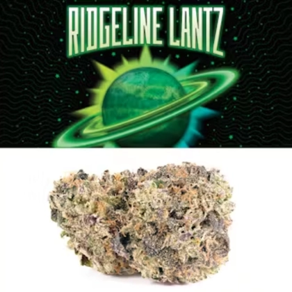  Flower - Ridgeline Lantz (3.5g)